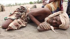 سبعة ملايين يمني مهددون بالجوع