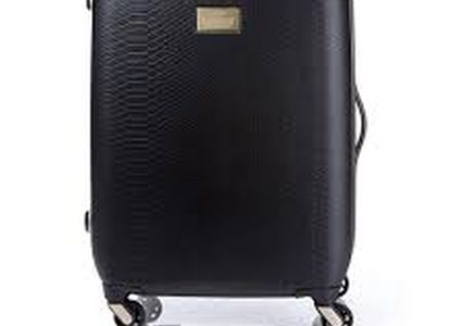 أغرب ما يمكن إيجاده في حقيبة مسافر روسي