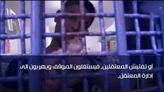 تعرف على  مكر "العصافير" في سجون الاحتلال