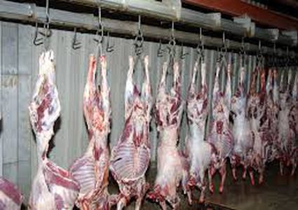 البرلمان البلجيكي يصادق على منع الذبح الحلال