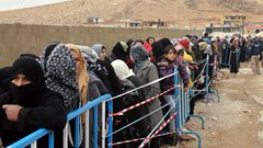 30 ألف مولود سوري في لبنان سنويا