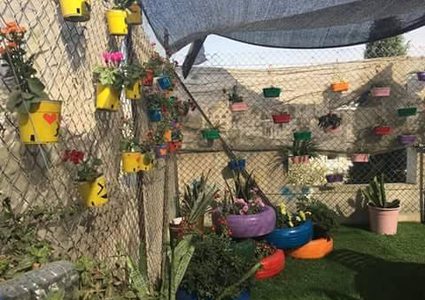 الزراعة الحضرية على أسطح المنازل في غزة