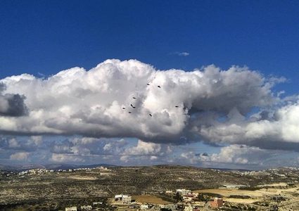 عبث بلا نهاية .. سموم مسرطنة "تخنق" سكان "جورة عمرة" (صور)