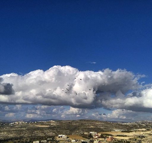 عبث بلا نهاية .. سموم مسرطنة "تخنق" سكان "جورة عمرة" (صور)