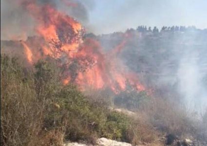 السيطرة على حريق شب في جبال جنوب طولكرم