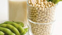 الصويا تقلل امراض الجهاز الهضمي