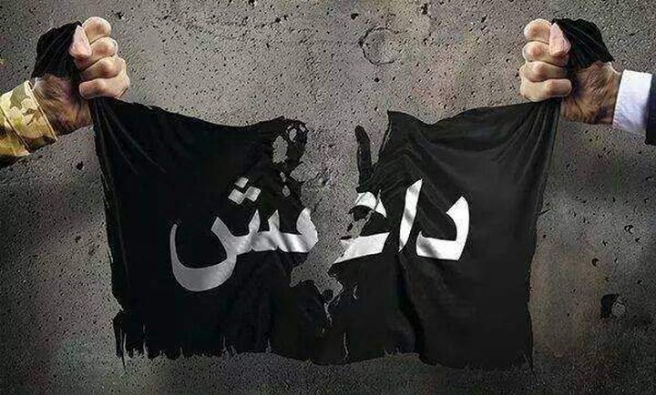 التحالف الدولي: "داعش" على وشك هزيمة تامة في الموصل