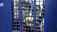 والدة الأسير المضرب الجلاد: ابني فقد من وزنه 18 كغم