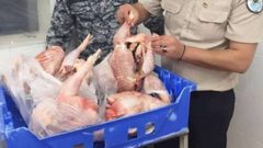 ضبط 5000 دجاجة مهربة في بيت لحم