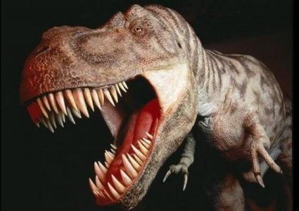 عضة "الفك المرعب" تعادل قوة 3 سيارات