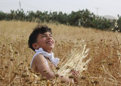 مزارعو غزة يحصدون الموت بأيديهم "صور"