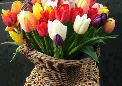 إتيكيت إرسال الزهور أنواعها والأوقات المناسبة