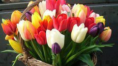 إتيكيت إرسال الزهور أنواعها والأوقات المناسبة