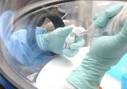 تجارب تبشر بزراعة مبايض صناعية