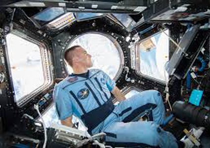 إنجاز علمي بولادة فئران في الفضاء