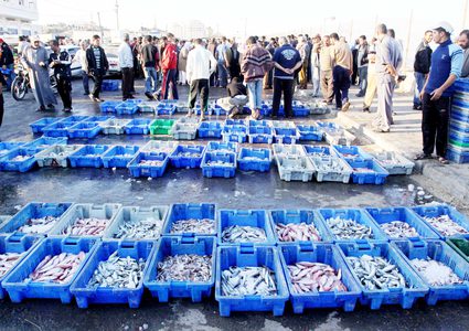 ضبط 40 كغم سمك غير صالح للإستهلاك