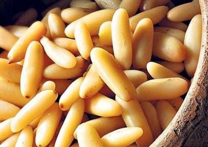 الصنوبر.. هكذا يُفقدكم الوزن