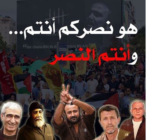 التفاصيل خلال ساعات.. "وانتصر الكف على المخرز" (صور)