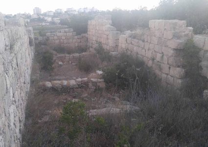 "بيت عينون" تنهب وتندثر على مرآى العالم