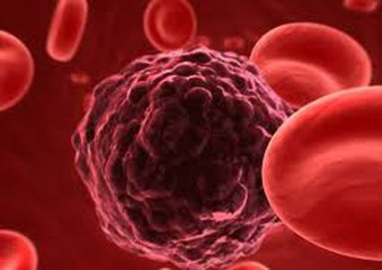 إكتشاف أجسام مضادة لديها القدرة على محاربة السرطان