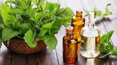 زيت النعناع لشعر صحي ولامع