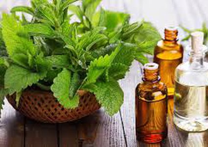 زيت النعناع لشعر صحي ولامع