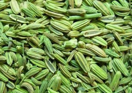 فوائد الشمر السحرية اكتشفوها...