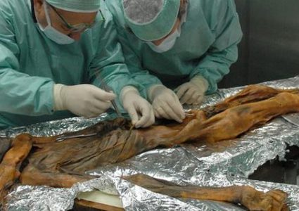 الحمض النووي يكشف... المصريون ليسوا فراعنة