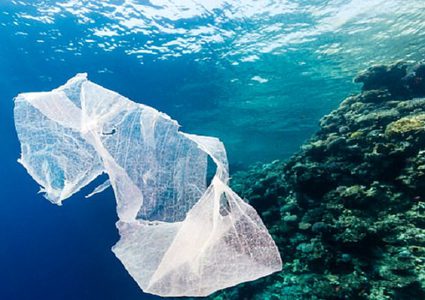 كيف تحد الميكروبات من تلوث المحيطات بالبلاستيك؟