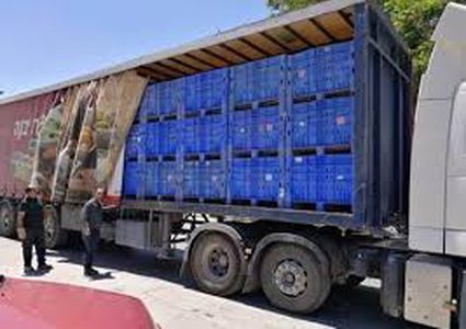 ضبط 114 صندوق بطيخ مهربة