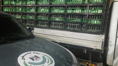 ضبط 1560 دجاجة بدون اوراق قانونية في طولكرم