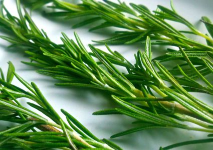 لإكليل الجبل فوائد صحية جمَّة