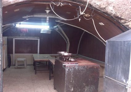 مئة عام وأبو عصفورة ما زال حياً