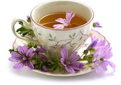 هل الأعشاب علاج فعال للمشاكل المعوية؟