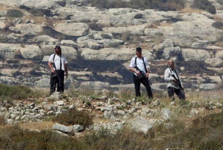 مستوطنون يسرقون زوايا حديد لمزارع جنوب بيت لحم