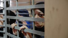 الأسيرات يوقفن خطواتهن الاحتجاجية عقب التفاوض مع إدارة السجون