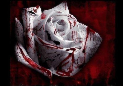 "الموت الرخيص" يواصل حصد ضحاياه لأسباب "تافهة"