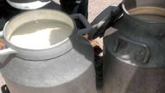 إتلاف 500 كغم من منتجات الألبان الفاسدة في بيت لحم