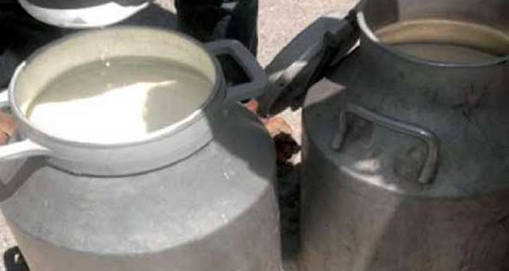 إتلاف 500 كغم من منتجات الألبان الفاسدة في بيت لحم