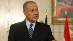 أبو الغيط يثمن دور الكويت لاحتواء أزمة الخليج