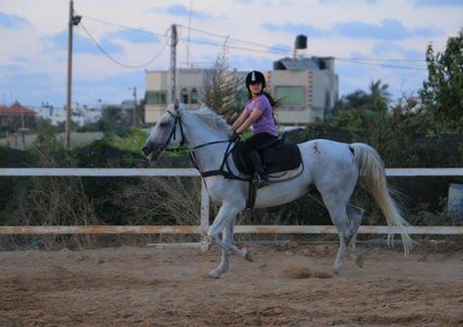 أصغر خيالة فلسطينية تقفز فوق الحواجز وصولاً للعالمية