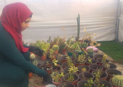 حنين تقيم أول مزرعة للصباريات في الضفة