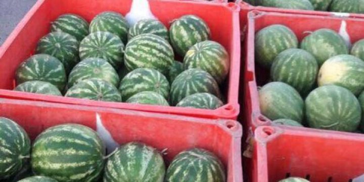 ضبط 24 صندوقا كبيرا من البطيخ المهرب