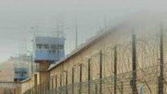 اصدار رواية "قط بئر السبع"