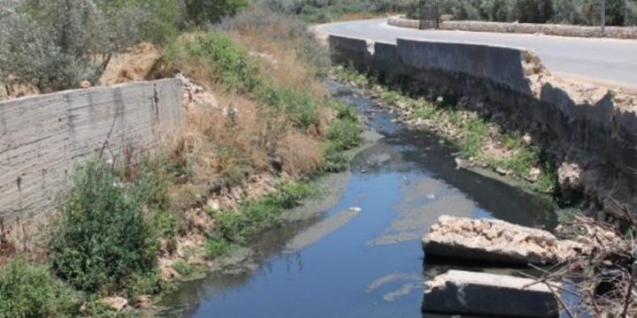 مزارعو فرخه يشكون التلوث بمجاري مستوطنة “أريئيل”