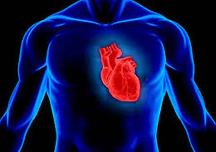 لعاب حشرات القراد لعلاج التهاب عضلة القلب