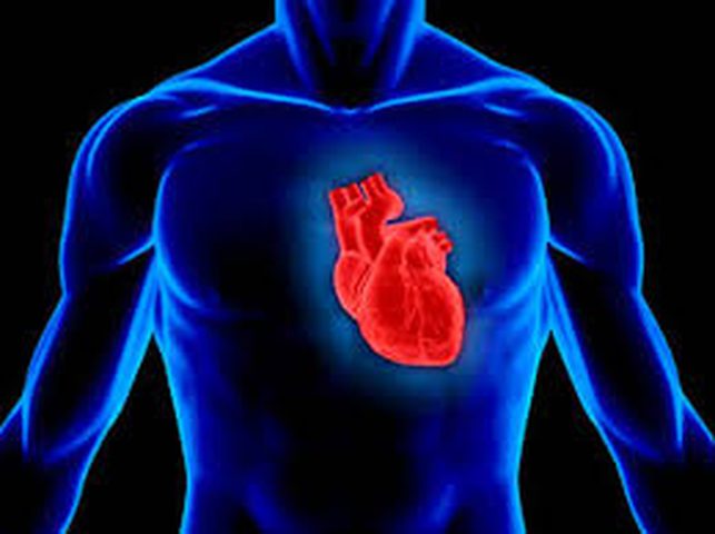 لعاب حشرات القراد لعلاج التهاب عضلة القلب
