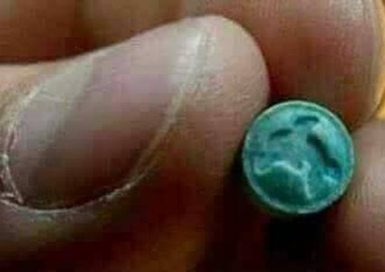 ماذا تعرف عن حبة الفيل الأزرق؟