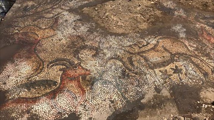 العثور على قطعة فسيفساء في تركيا عمرها 1600 عام