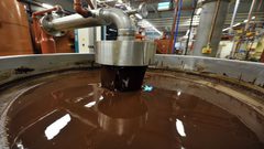 ضبط خمس أطنان شوكولاتة مهربة في سلفيت